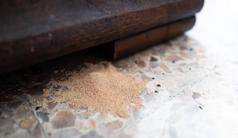 Identifying the Signs of Termite Infestation - Pest Control Hacks