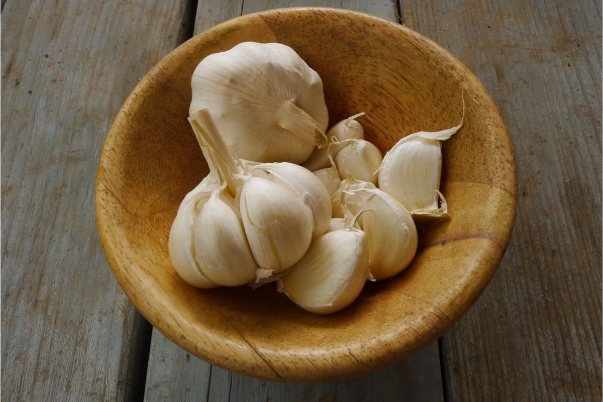 garlic on a plate