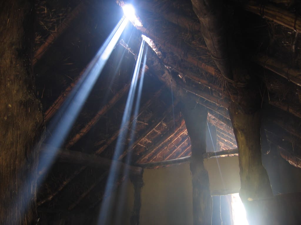 holes in attic