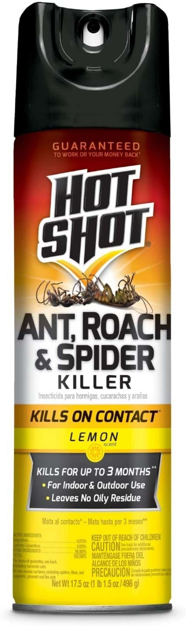 5 Best Indoor & Outdoor Ant Killers in 2021 [Detailed Reviews]