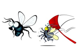 How To Get Rid Of House Flies 7 Most Effective Methods