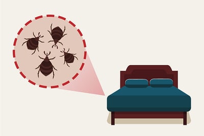 infested bed infographics drawing