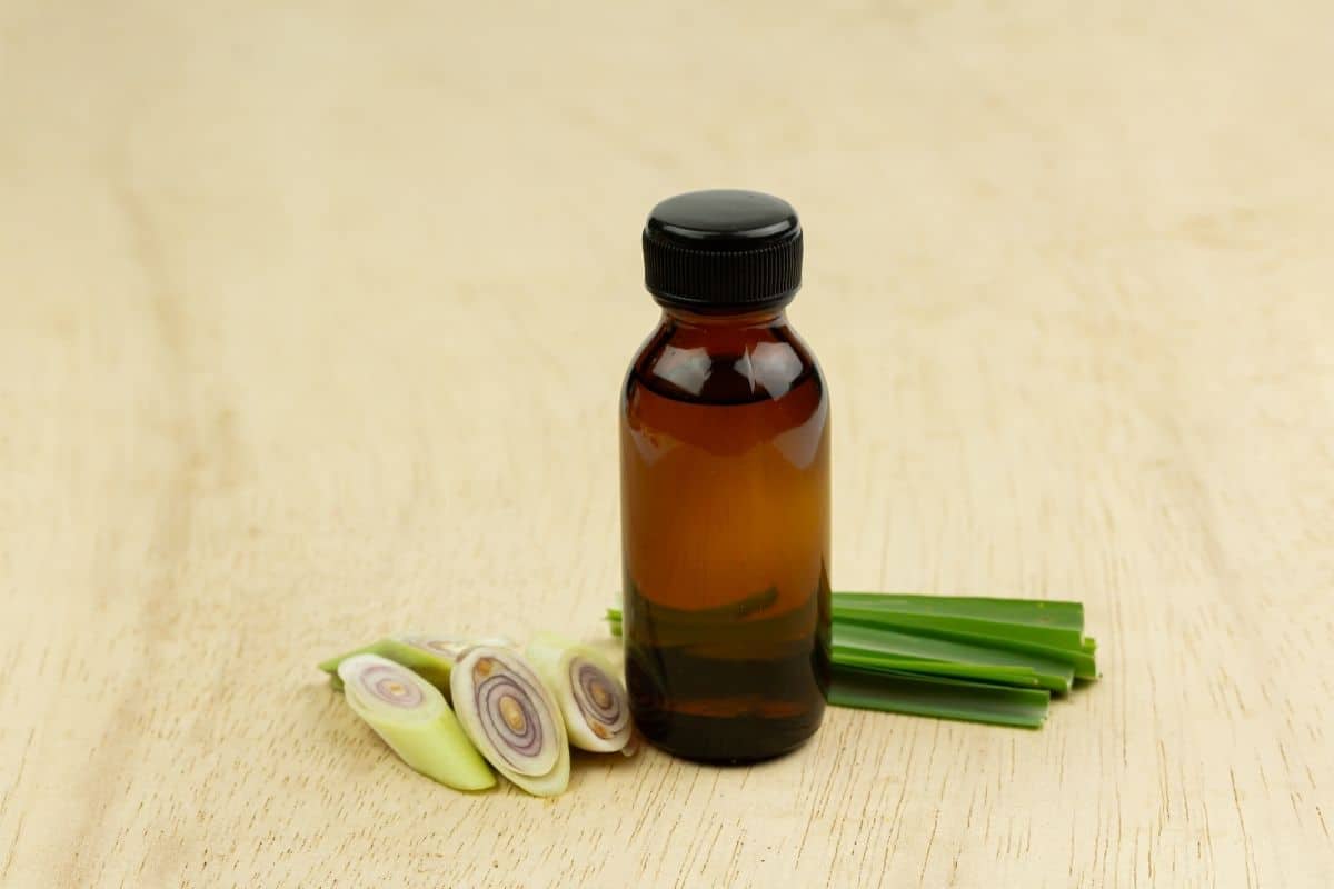 lemongrass oil