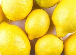 lemons on white background
