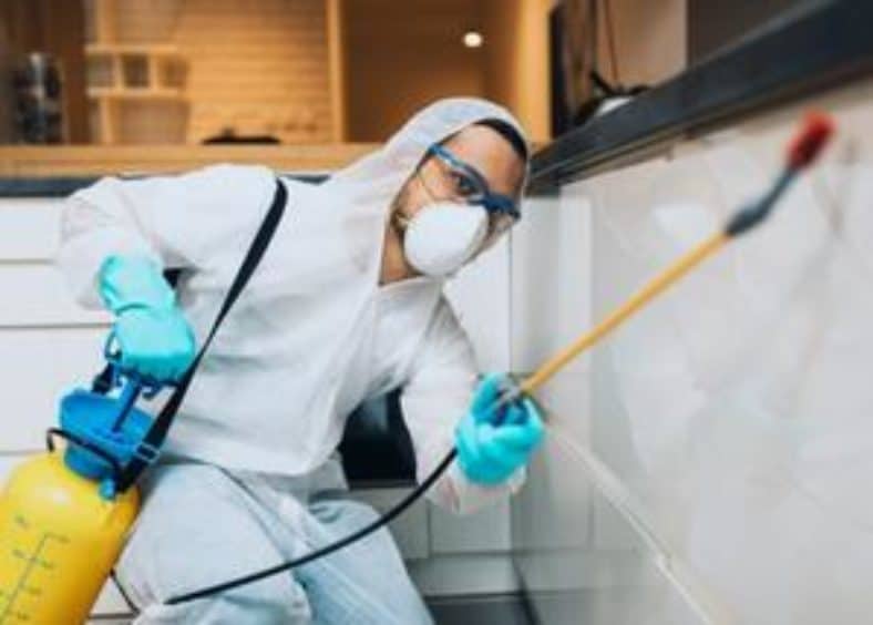 man at house pest control at kitchen