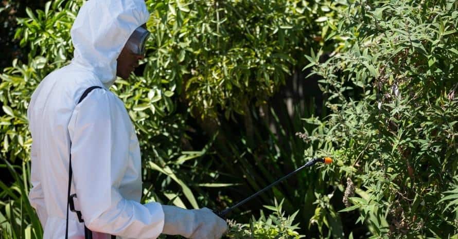 man fighting pests in garden