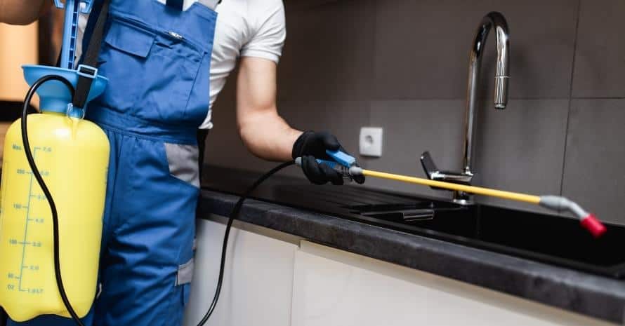 man killing pests in the kitchen