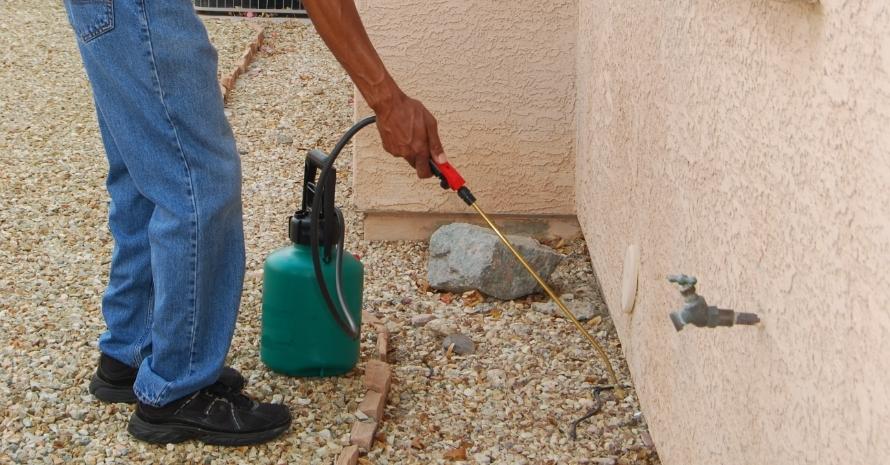 man killing pests near the wall