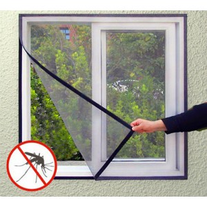 How to Get Rid of House Flies: Control & Prevention Guide