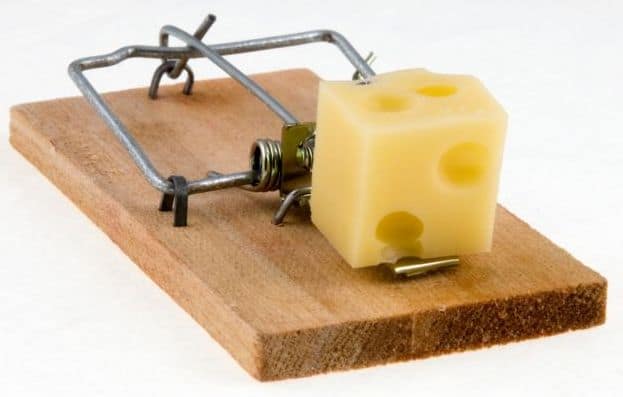 Which Mouse Trap is Better?