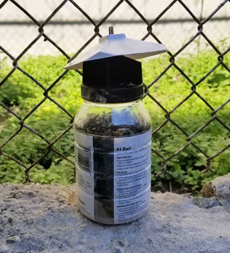 outdoor fly trap