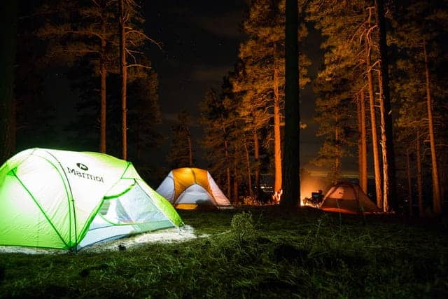 group of people camping in forest at nighttime