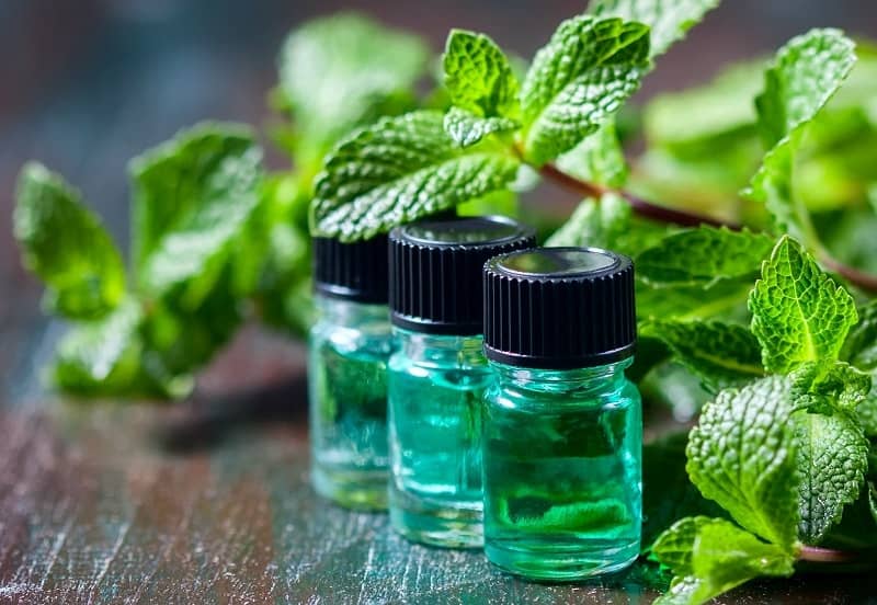 peppermint oil and leaves