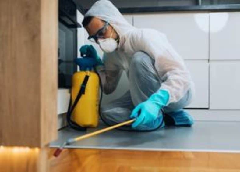 pest control worker kneeling in the kitchen