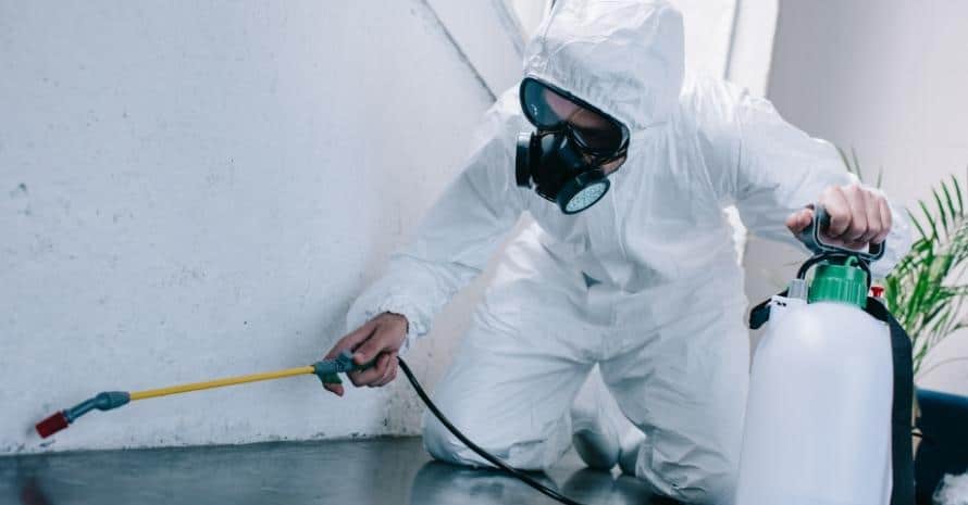 pest control worker spraying