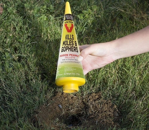 Best Gopher Poison in [year]: Expert Reviews