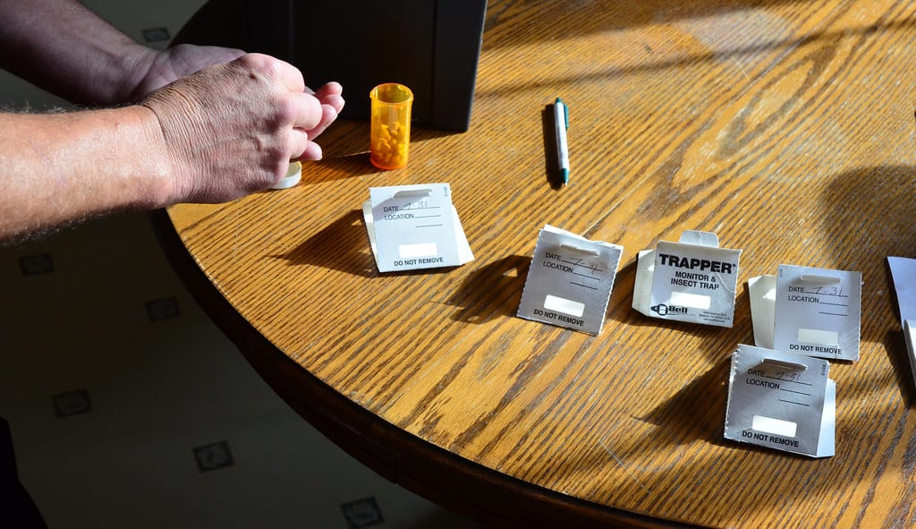 roach traps on a table