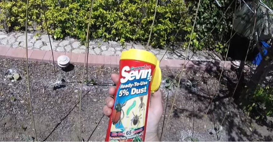 Sevin insect killer