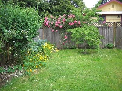 small yard with flowers