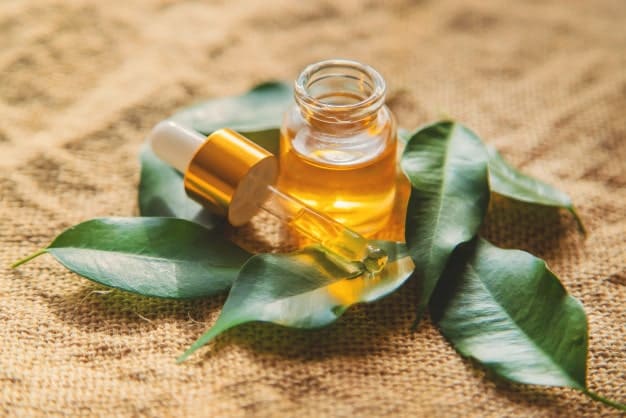 tea tree oil och tea tree leaves