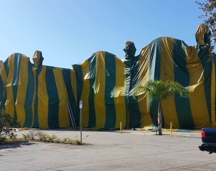 termite tenting