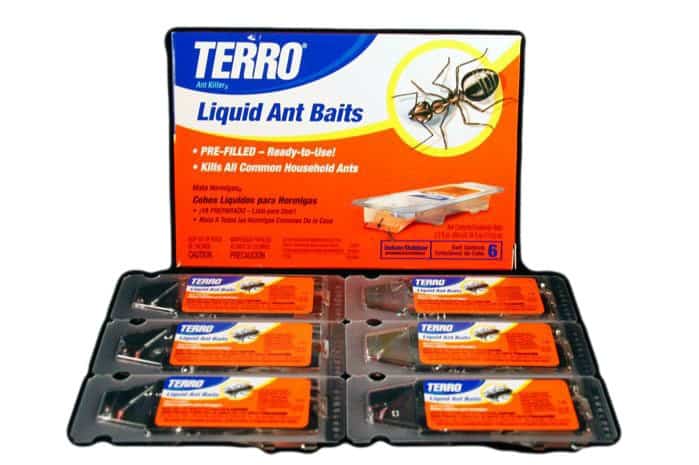 are terro ant traps safe for dogs