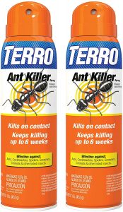 terro ant killer spray