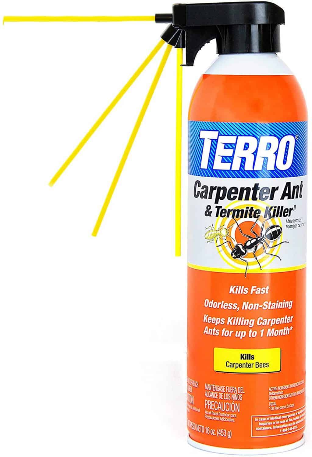 How Much Is It To Spray For Termites