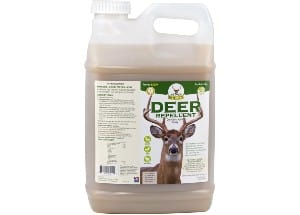 deer repellent