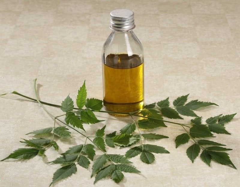 the-neem-oil