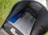 How to Get Rid of Ants in Mailbox: Complete Ants Control & Prevention Guide
