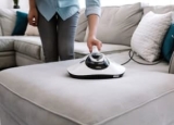 Best Steamers and Vacuums for Bed Bugs in 2024: Expert Reviews