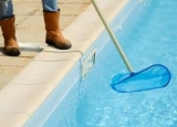How to Get Rid of Horse Flies Around the Pool: Complete Control & Prevention