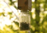 How to Make a Carpenter Bee Trap: Making a Wood Bee Trap at Home