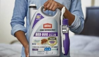 Best Bed Bug Sprays in 2022: Expert Reviews