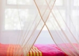 Best Mosquito Nets for Beds: Complete Guide