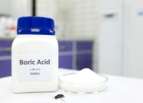 Does Boric Acid Kill Roaches and How to Get Rid of Roaches for Good?