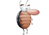 6 Best Roach Killers to Buy in 2024: Most Effective Roach Treatment Products Reviewed