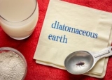 Diatomaceous Earth for Roaches: Is It Effective?