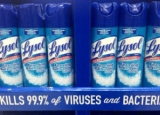 Is Lysol Toxic? Differentiating the Facts from Myths