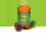 Is Pine Sol a Disinfectant? How Pine-Sol Works