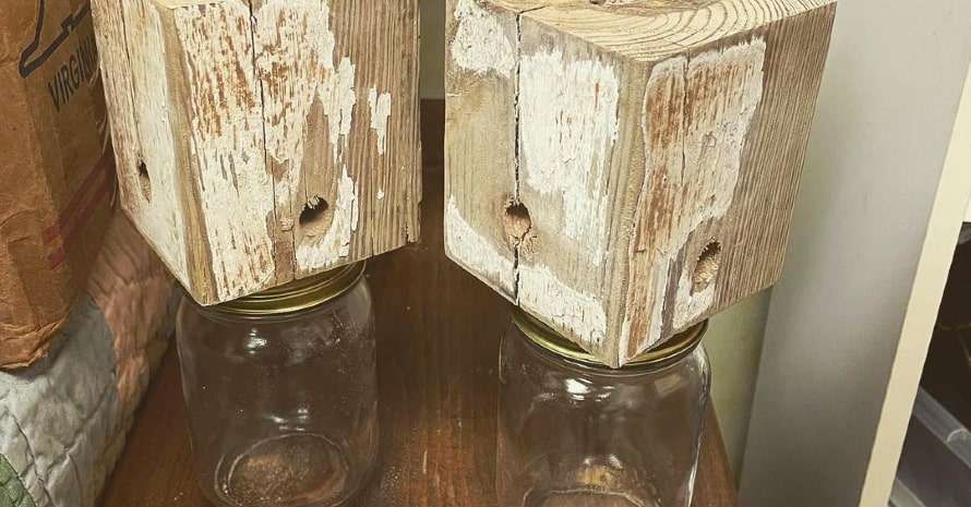 two bee traps