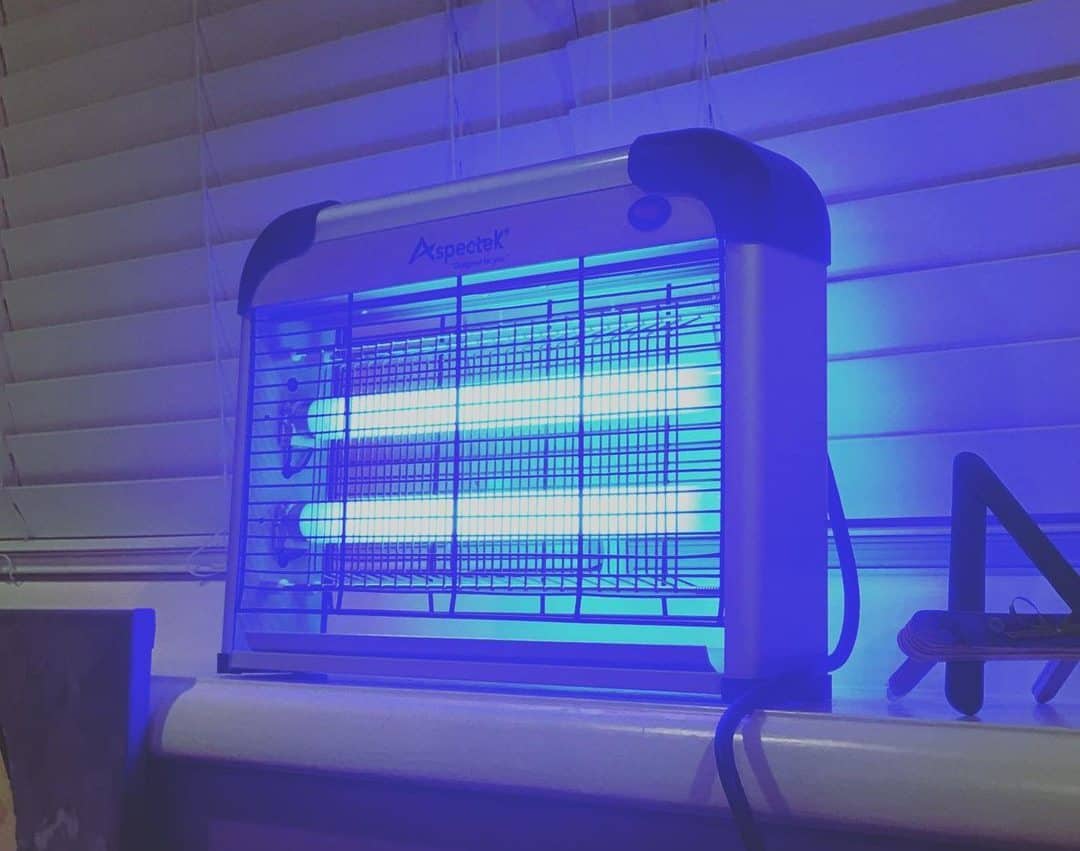 UV fly trap