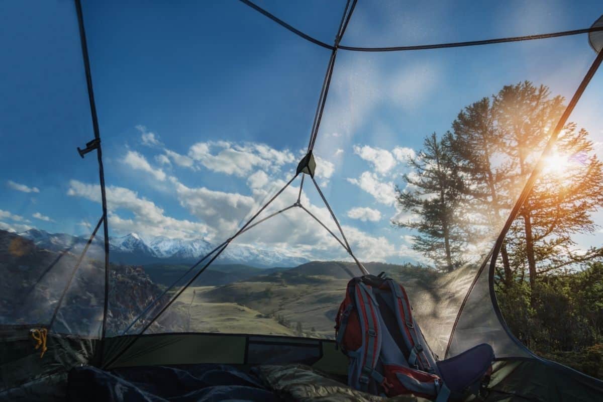 view inside mosquito tent