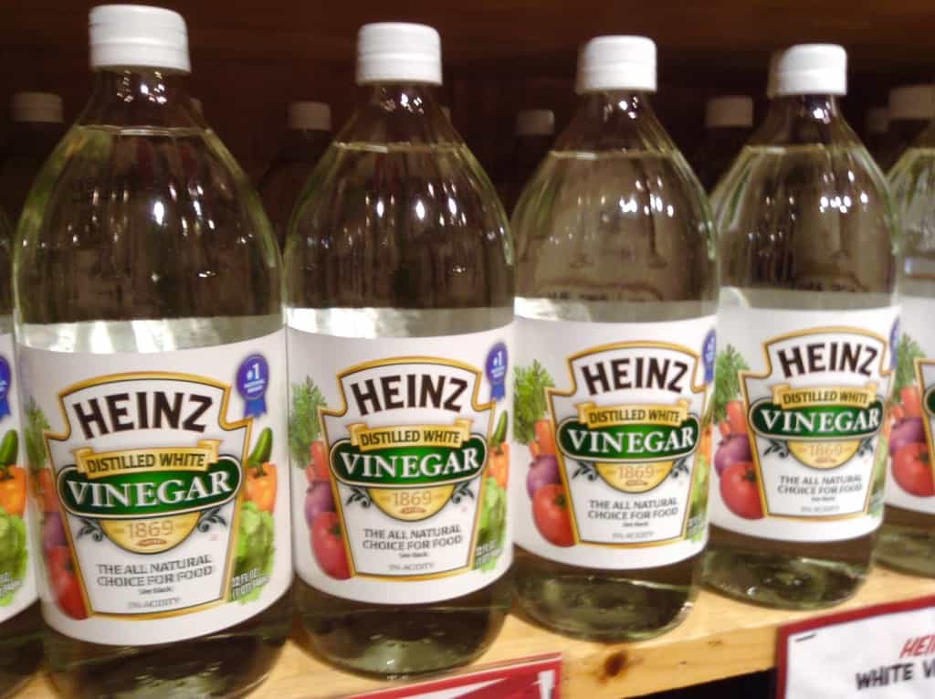 vinegar against bees