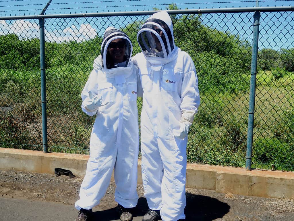 2 people wearing bee suits