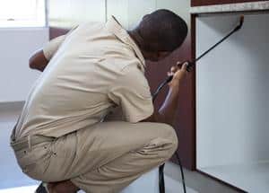 worker spraying liquid pests in closet